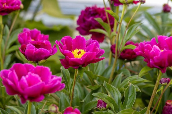 Quali sono i materiali più innovativi per un pavimento sostenibile in una casa in montagna?