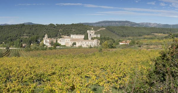 Consejos de ejercicio para una vida más saludable que no puedes ignorar
